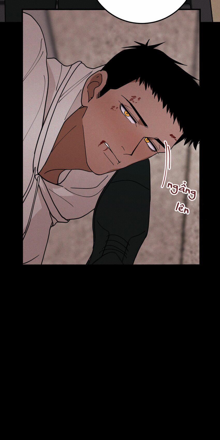 Hộp Bánh Quy Định Mệnh 35 trang 20