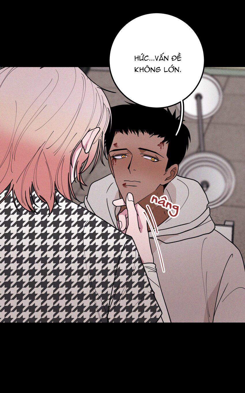 Hộp Bánh Quy Định Mệnh 35 trang 42