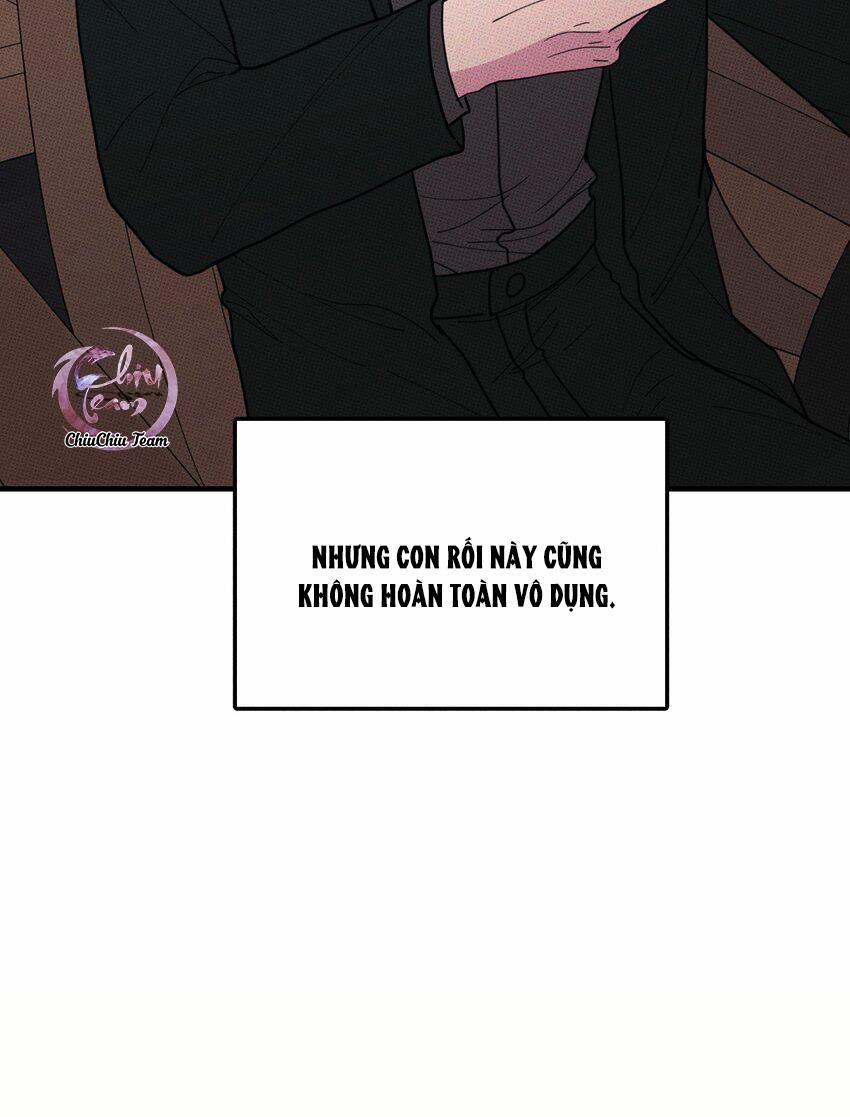 Hộp Bánh Quy Định Mệnh 46 trang 11