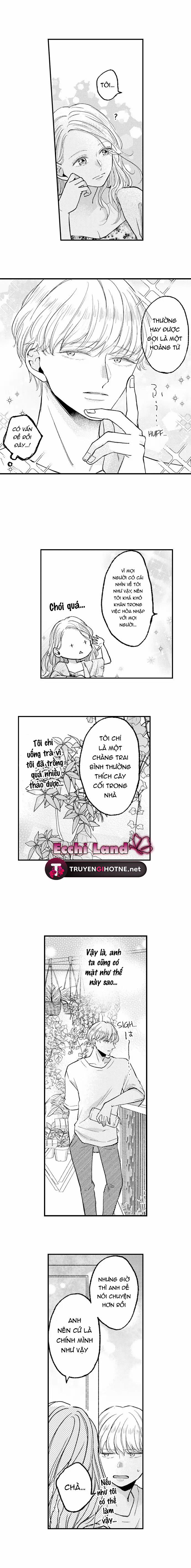 Hợp Đồng Hôn Nhân Tình Yêu Thể Xác 40.2 trang 4