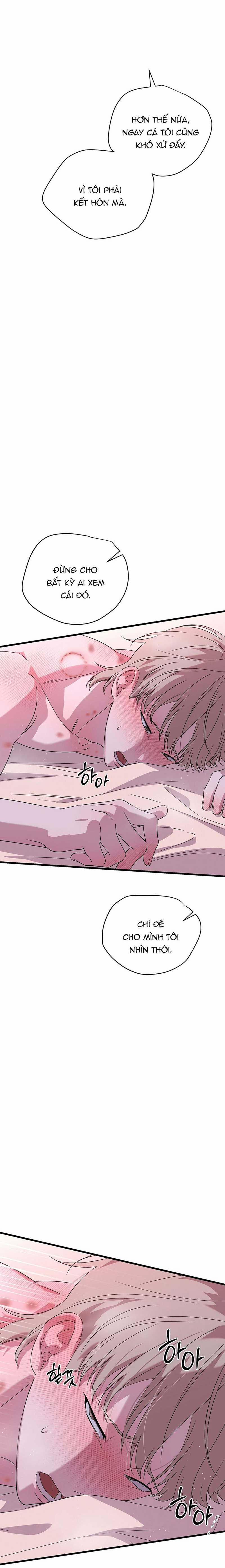 Hợp Đồng Kẹo Ngọt 11 trang 10