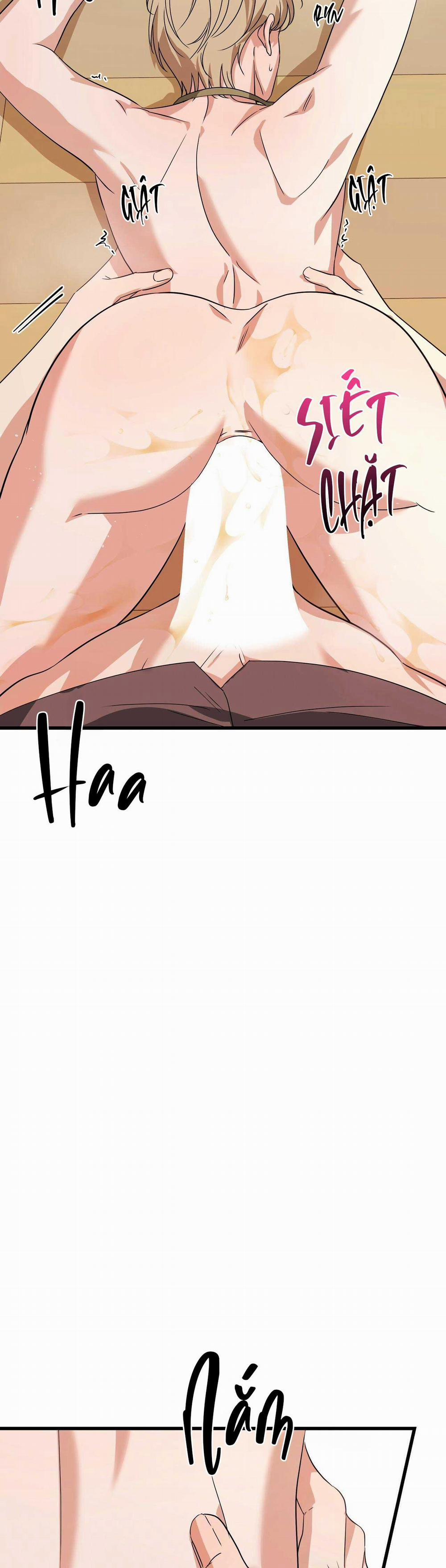 Hợp Đồng Kẹo Ngọt 15 0 trang 11