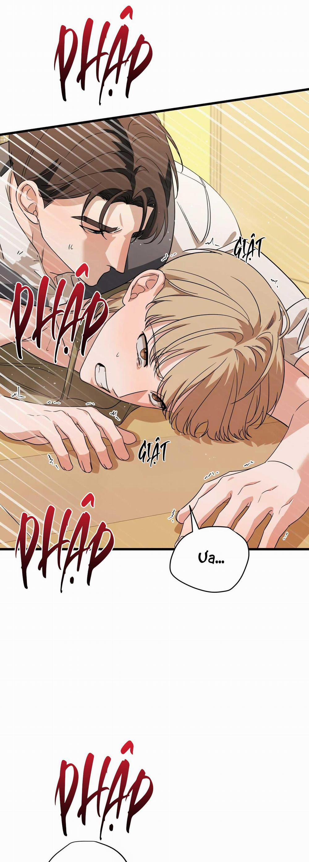 Hợp Đồng Kẹo Ngọt 15 0 trang 13