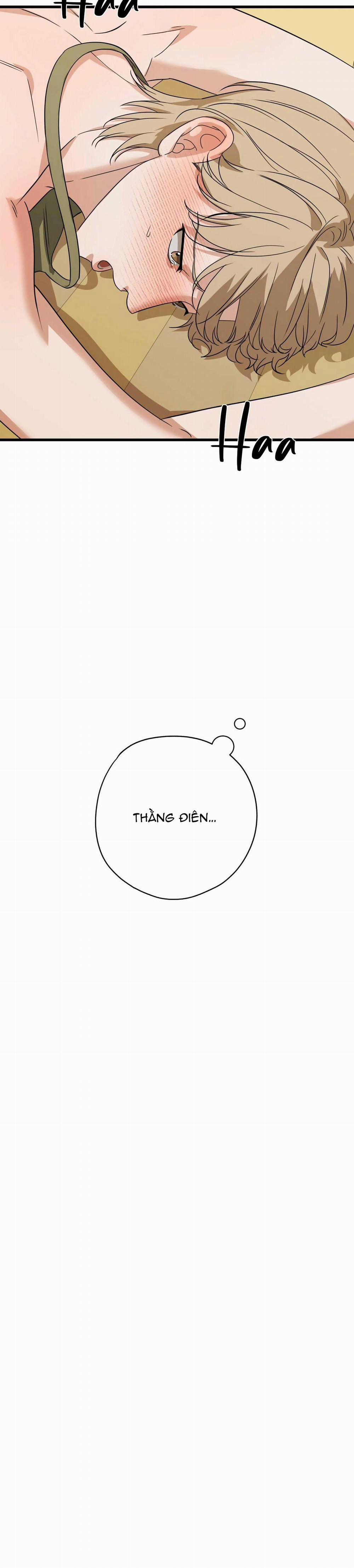 Hợp Đồng Kẹo Ngọt 15 0 trang 32