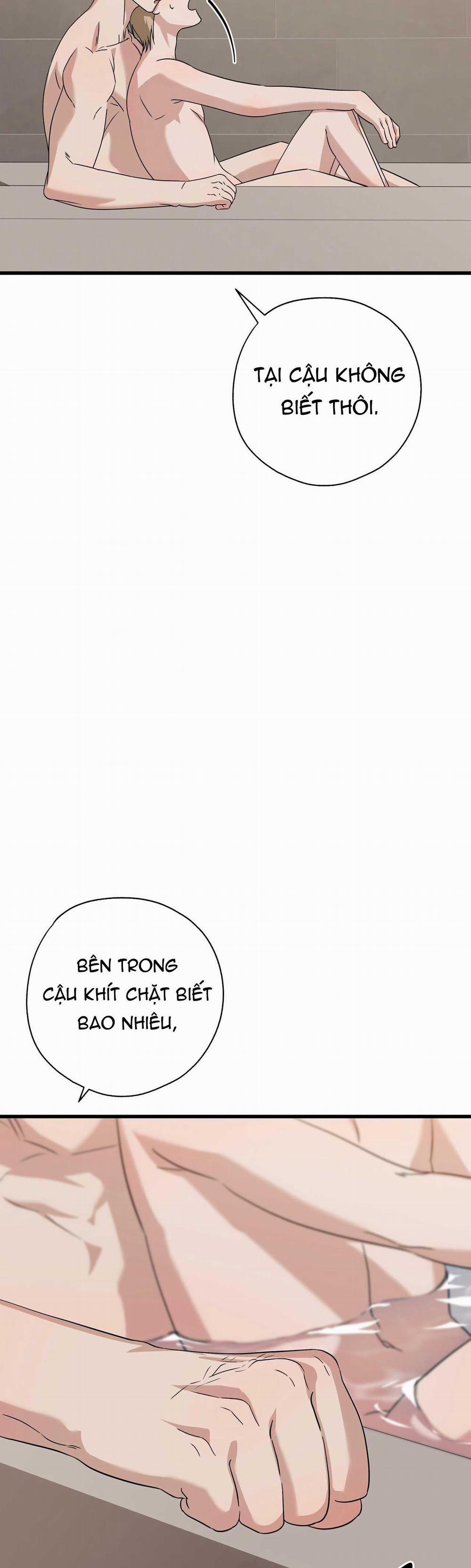 Hợp Đồng Kẹo Ngọt 16 0 trang 24