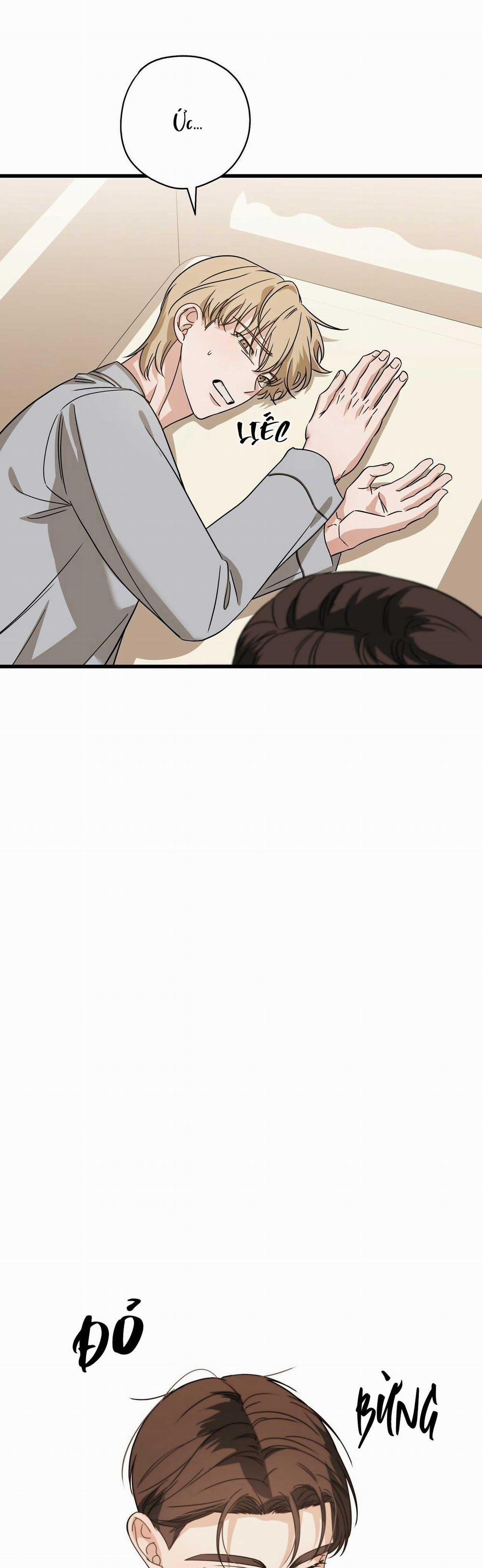 Hợp Đồng Kẹo Ngọt 21 0 trang 25