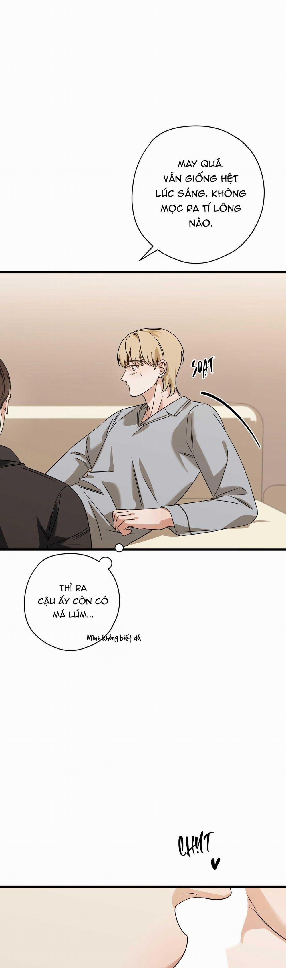 Hợp Đồng Kẹo Ngọt 21 0 trang 28