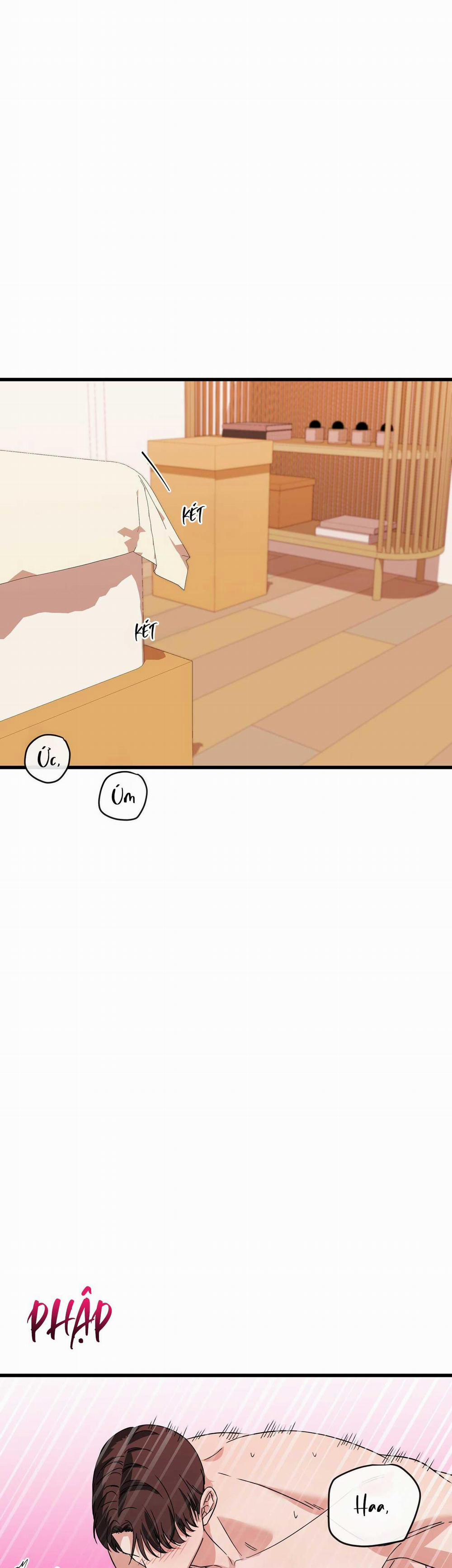 Hợp Đồng Kẹo Ngọt 21 0 trang 44