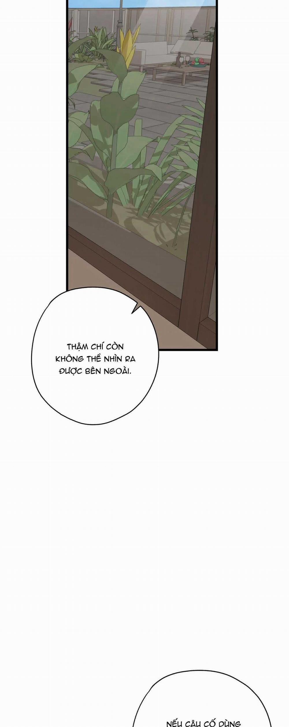 Hợp Đồng Kẹo Ngọt 29 trang 28