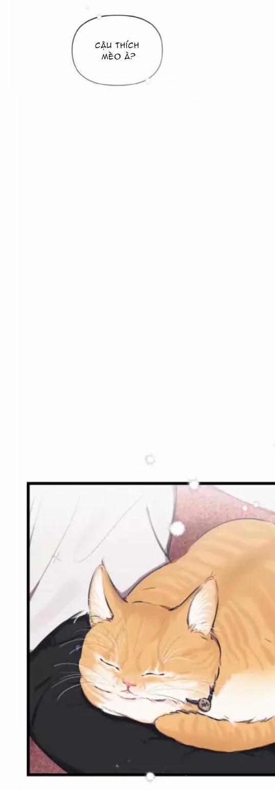 Hợp Đồng Tình Yêu 46 trang 28