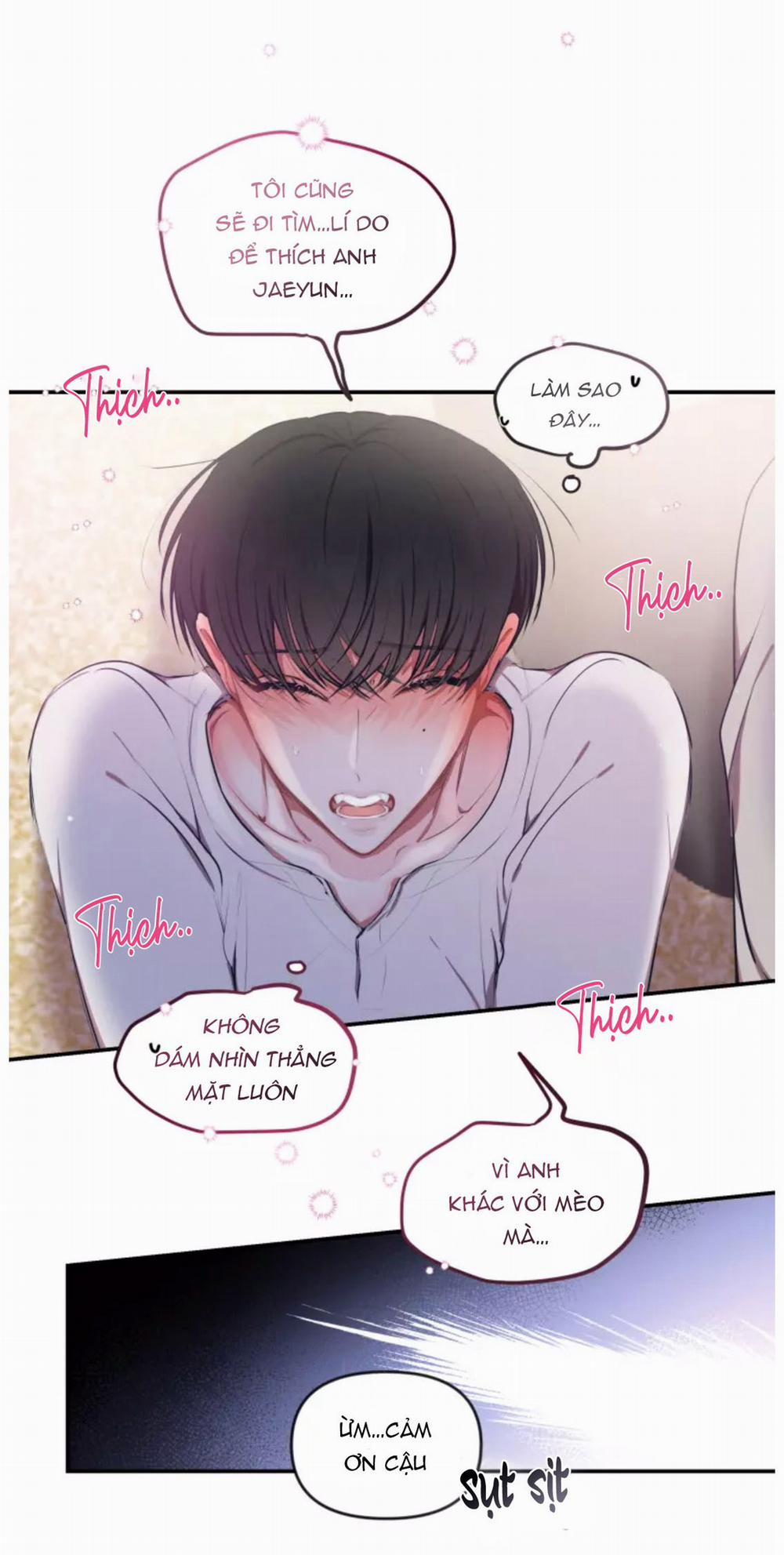 Hợp Đồng Tình Yêu 47 trang 13