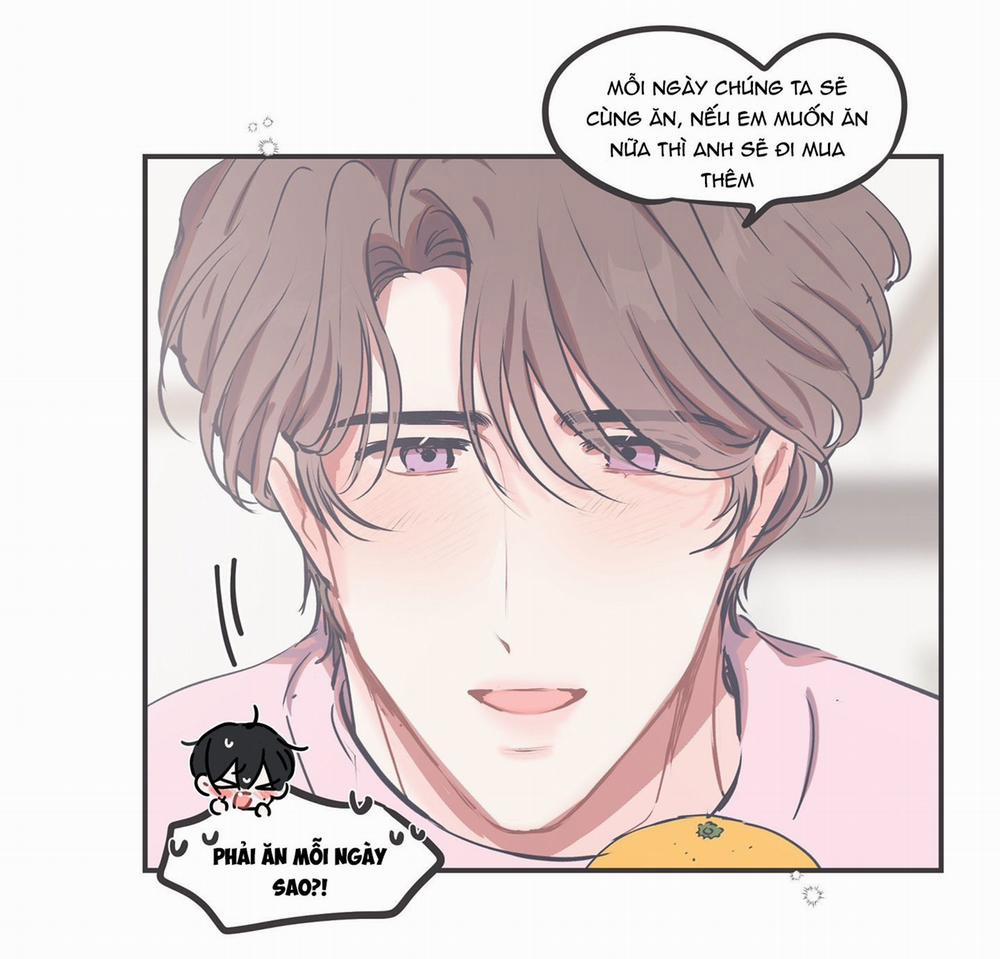 Hợp Đồng Tình Yêu 53 trang 28