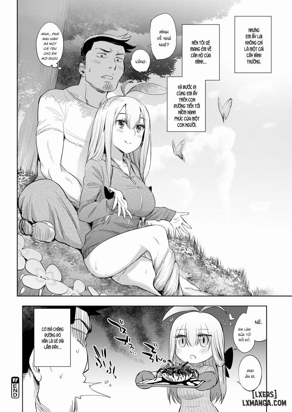 How to Raise Plants 1 trang 21