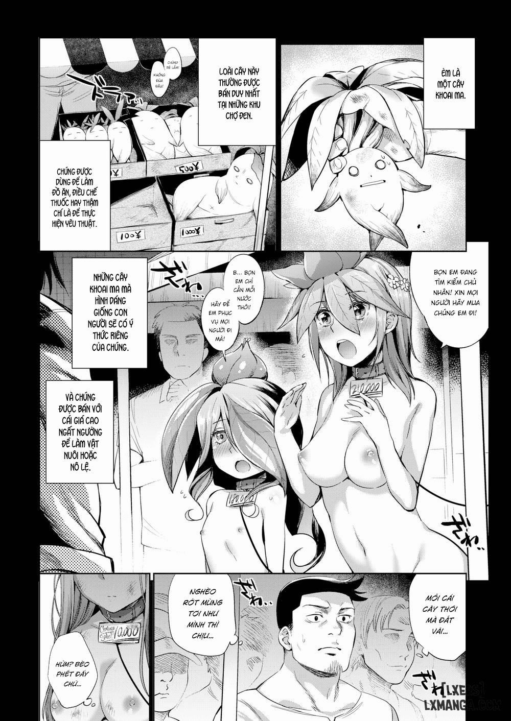 How to Raise Plants 1 trang 3