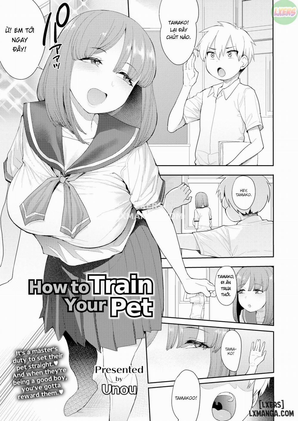 How to Train Your Pet Oneshot trang 3