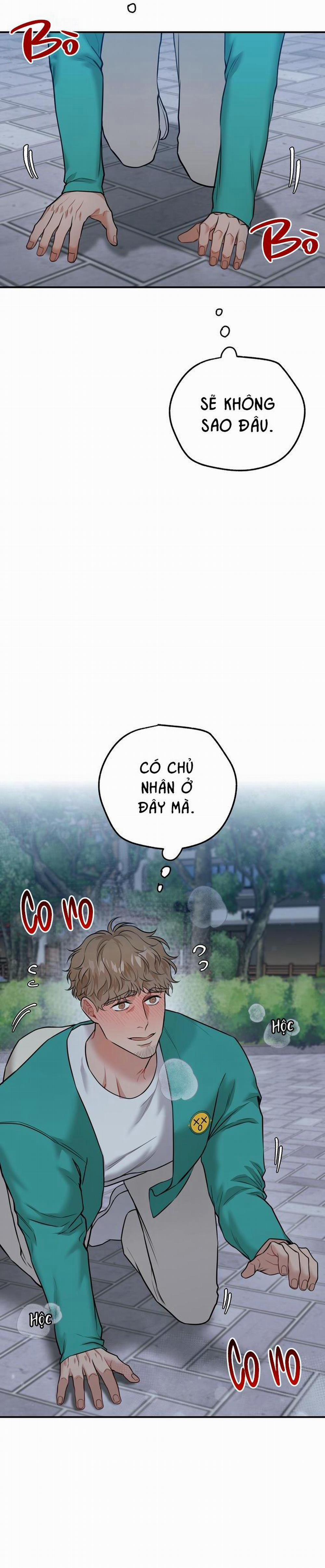 Hướng Dẫn Bdsm Cơ Bản 12 0 trang 9