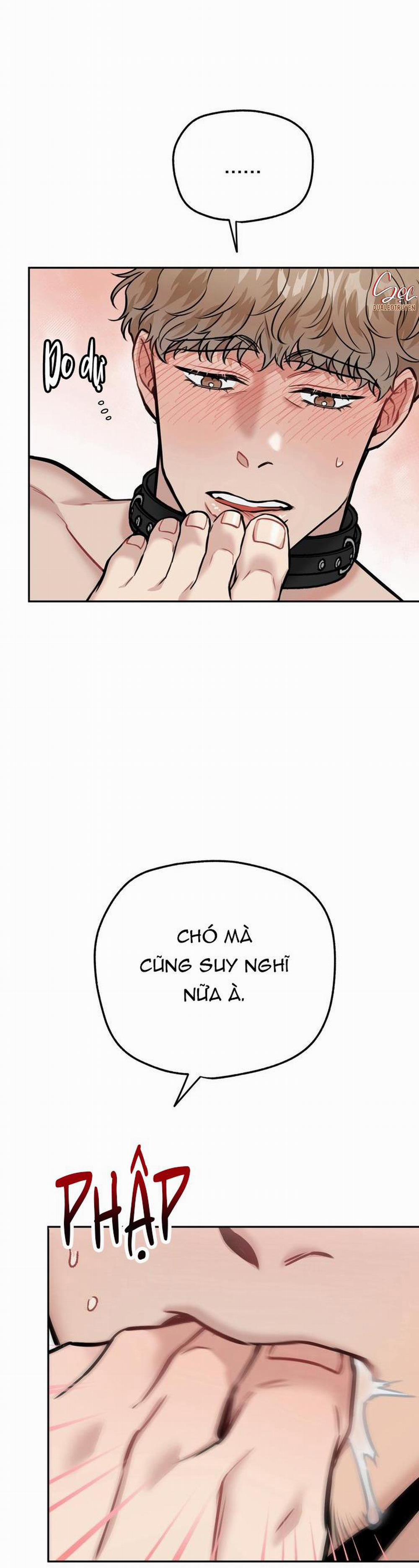 Hướng Dẫn Bdsm Cơ Bản 13 trang 12