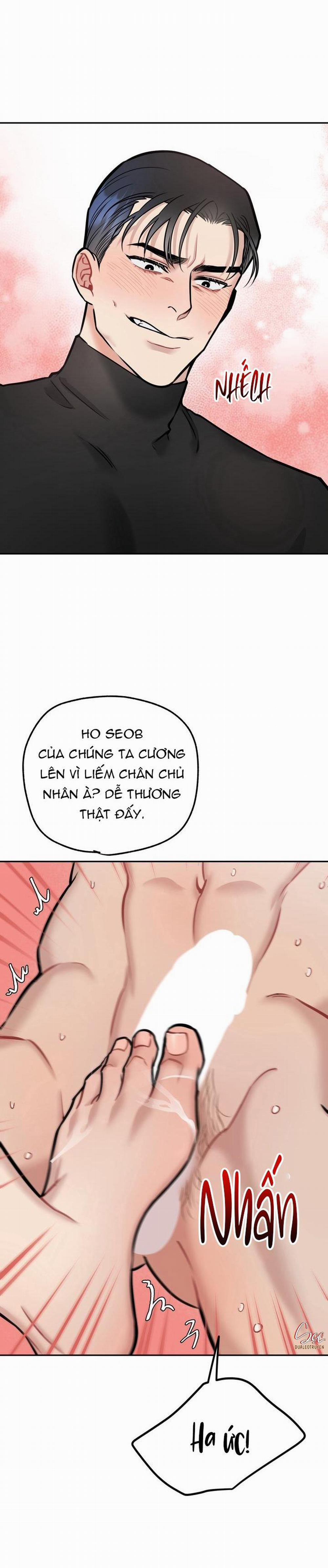 Hướng Dẫn Bdsm Cơ Bản 13 trang 14