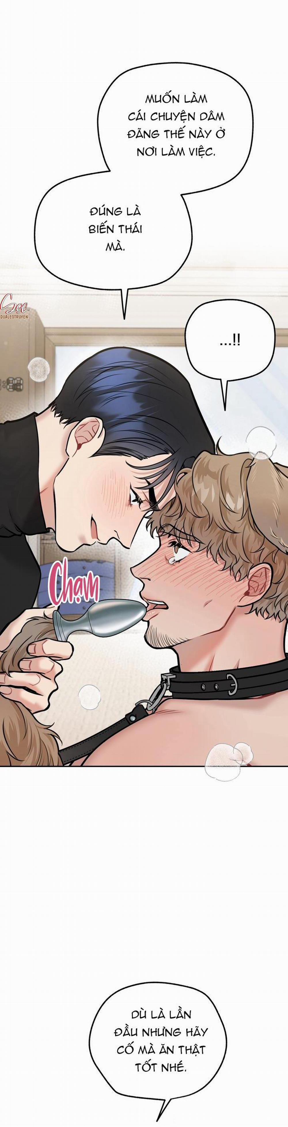 Hướng Dẫn Bdsm Cơ Bản 13 trang 20
