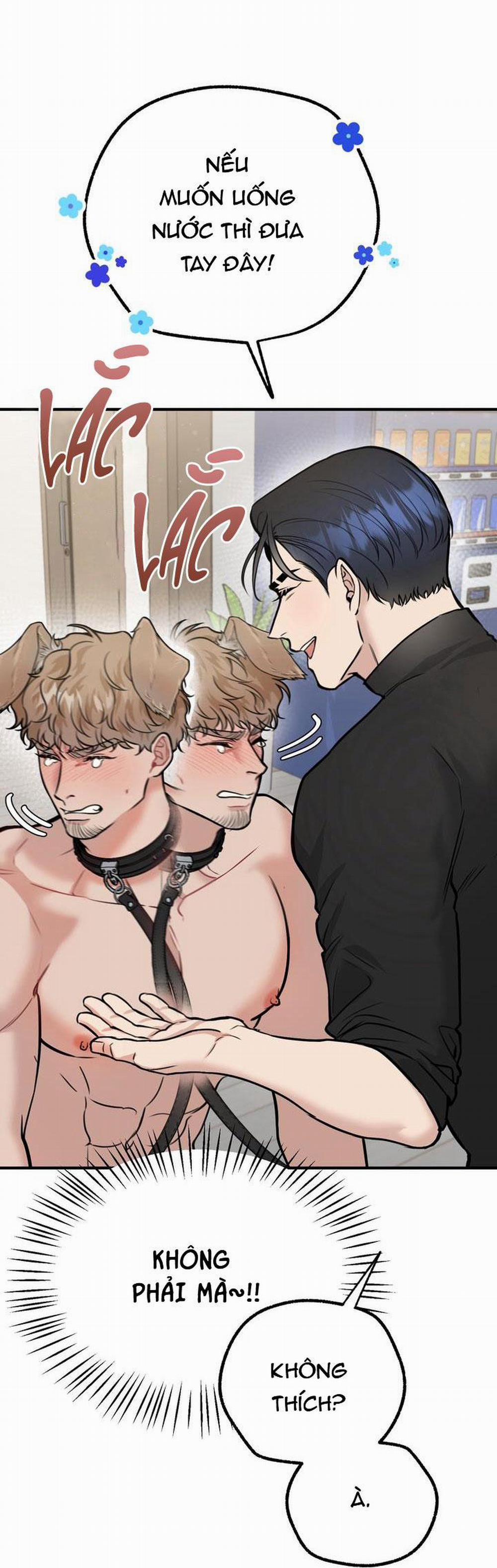 Hướng Dẫn Bdsm Cơ Bản 14 trang 12
