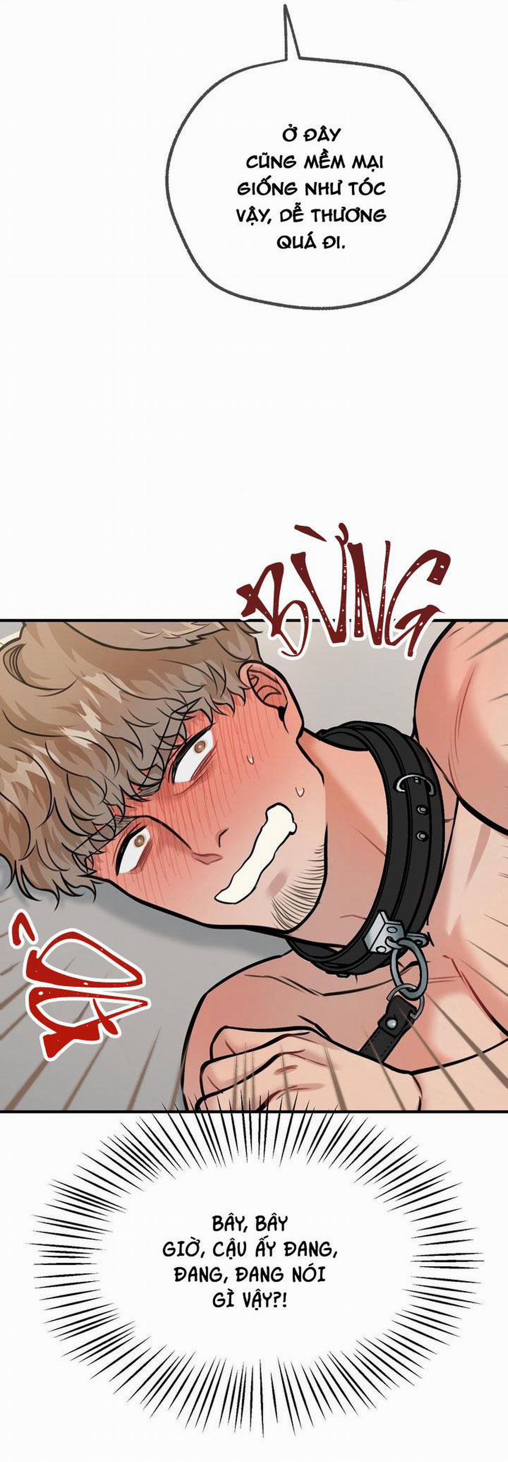 Hướng Dẫn Bdsm Cơ Bản 14 trang 20