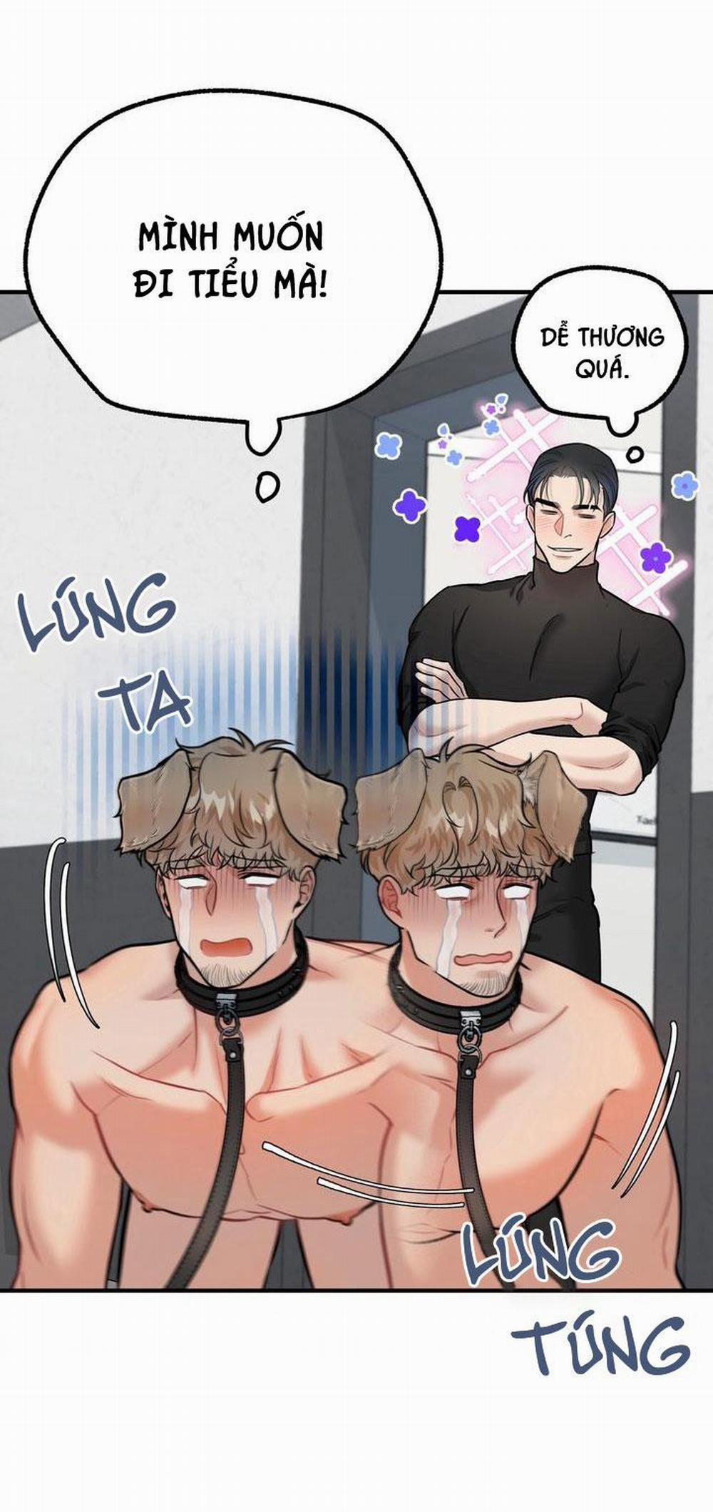 Hướng Dẫn Bdsm Cơ Bản 14 trang 43