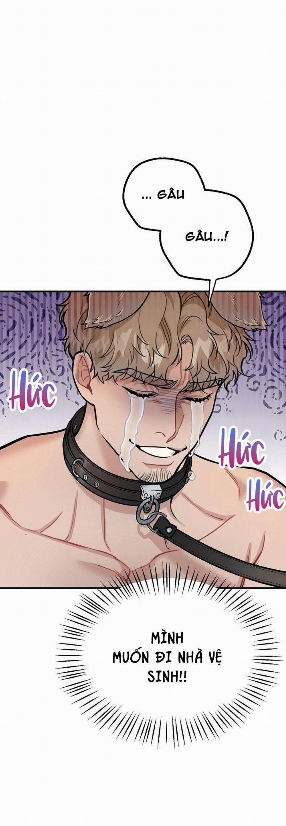Hướng Dẫn Bdsm Cơ Bản 14 trang 5
