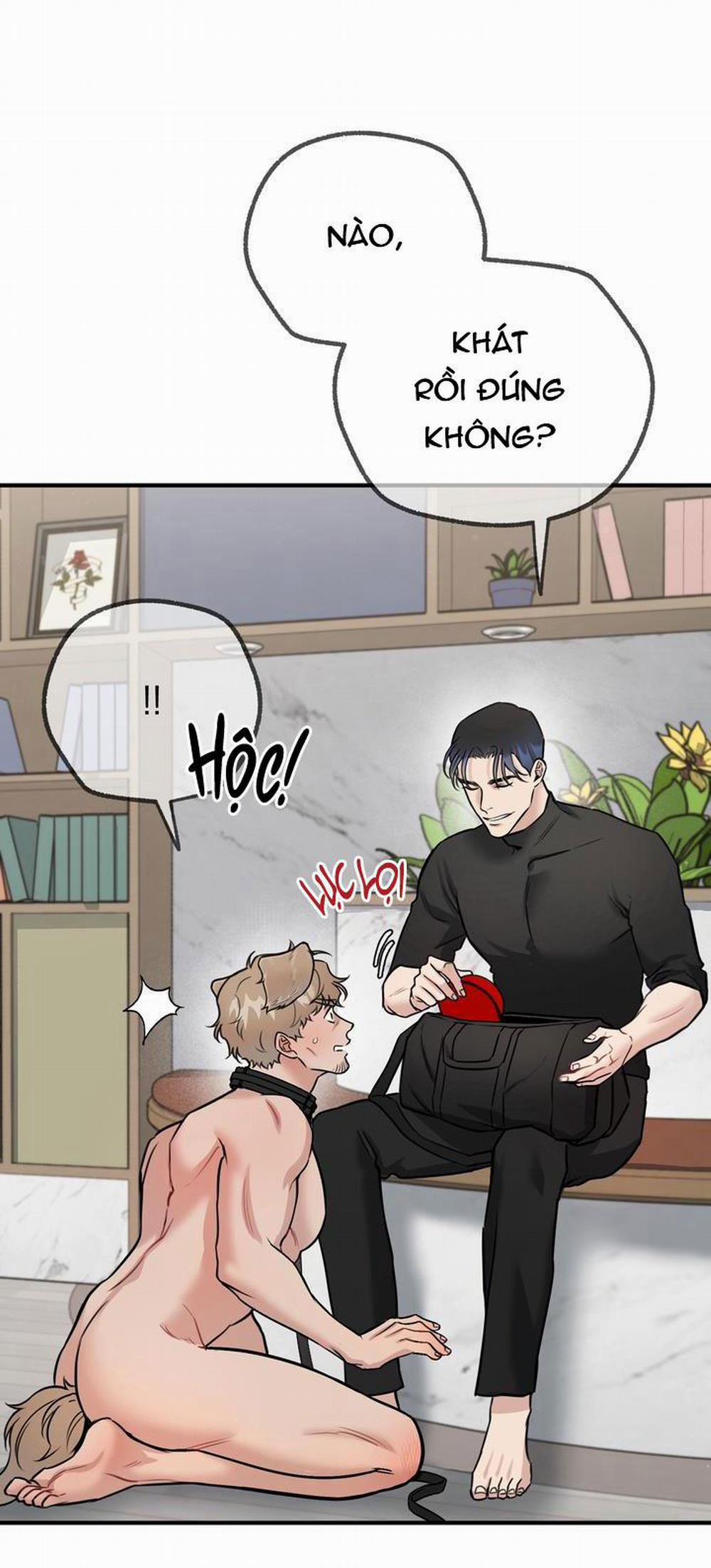 Hướng Dẫn Bdsm Cơ Bản 14 trang 8