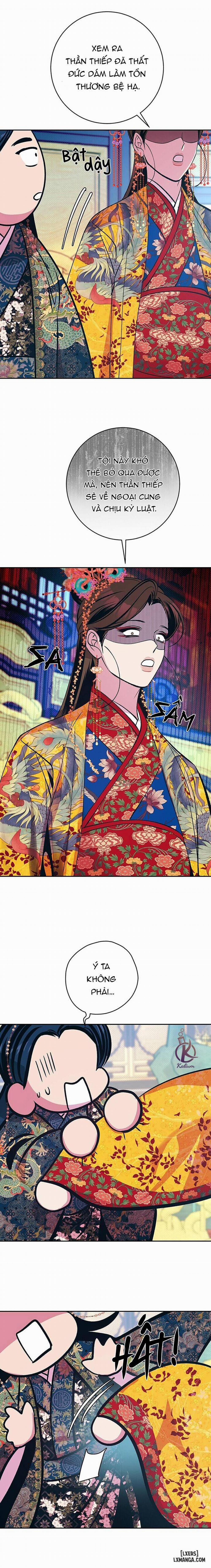 Hương Mẫu Đơn 20 trang 11