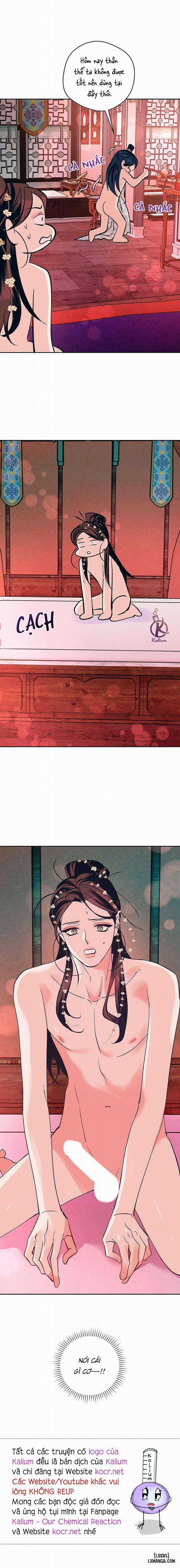 Hương Mẫu Đơn 7 trang 12