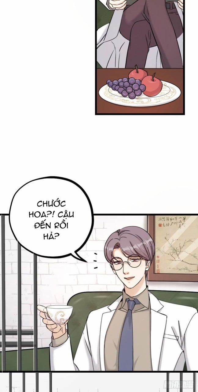 Hữu Phu Khuynh Thành 20 trang 10