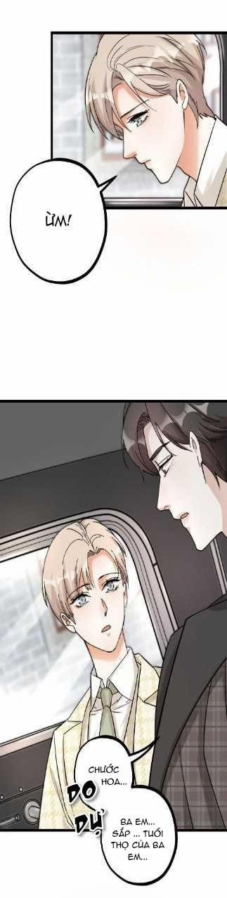 Hữu Phu Khuynh Thành 22 trang 3