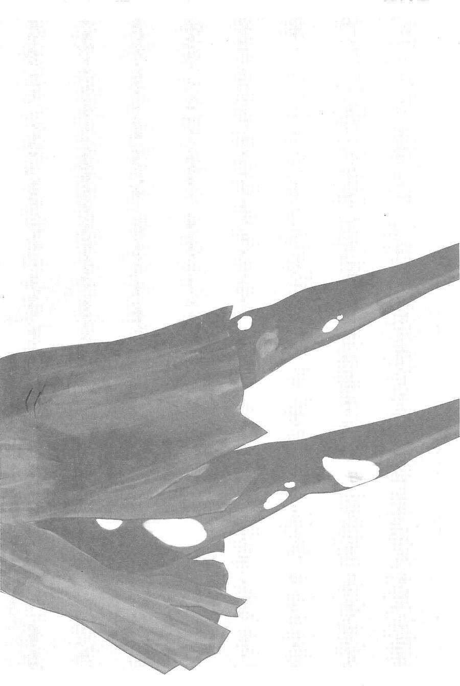 Hyouryuu Net Cafe 10 trang 24