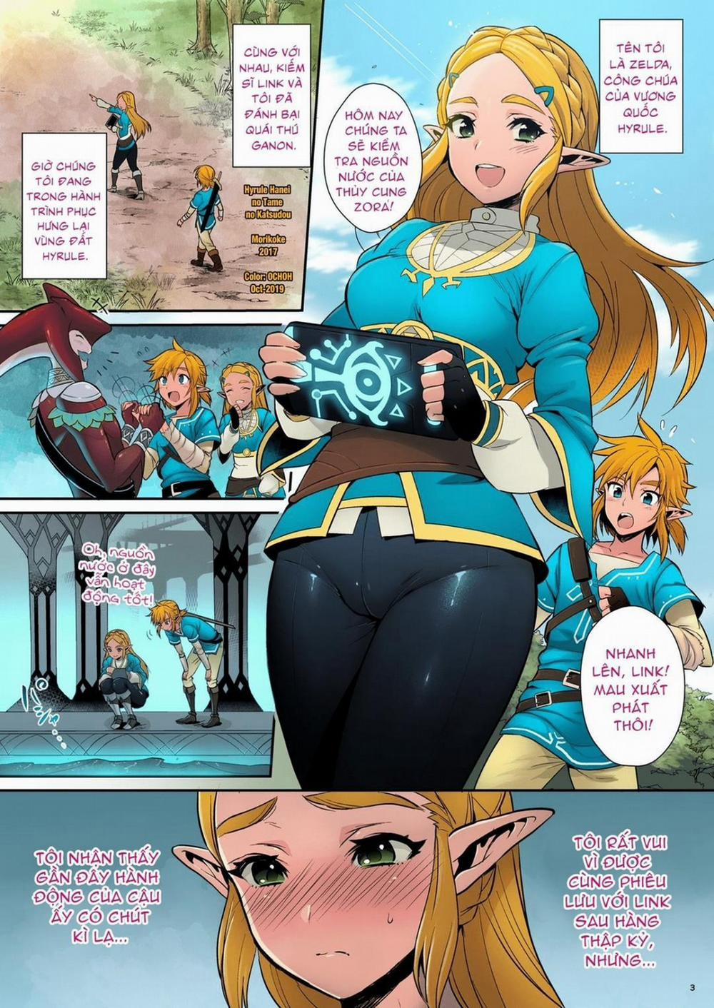 Hyrule Hanei no Tame no Katsudou Oneshot trang 2