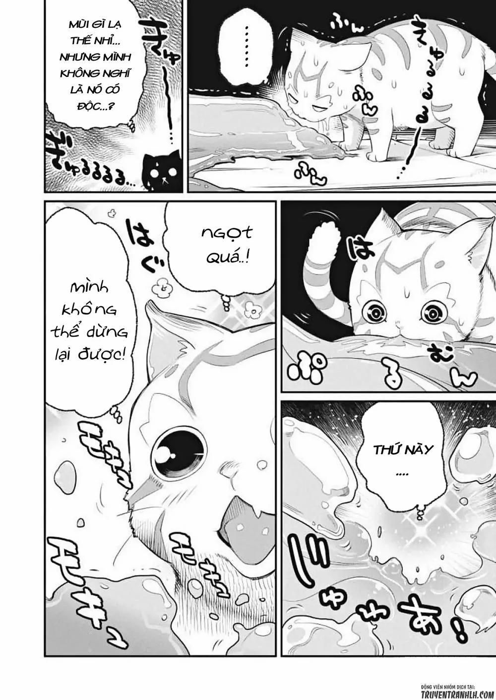 I Am Behemoth Of The S Rank Monster But I Am Mistaken As A Cat And I Live As A Pet Of Elf Girl 1 trang 14