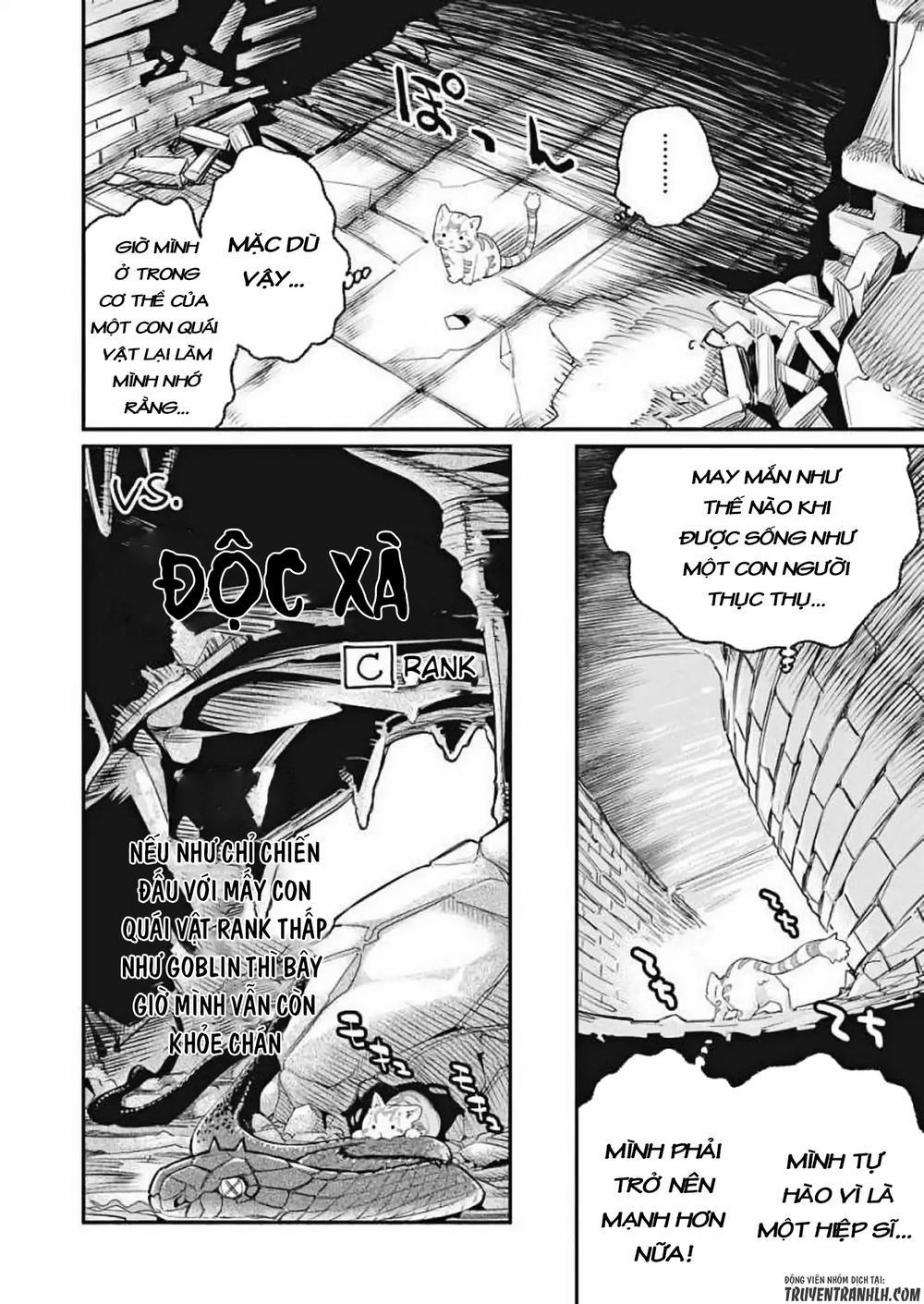 I Am Behemoth Of The S Rank Monster But I Am Mistaken As A Cat And I Live As A Pet Of Elf Girl 1 trang 16