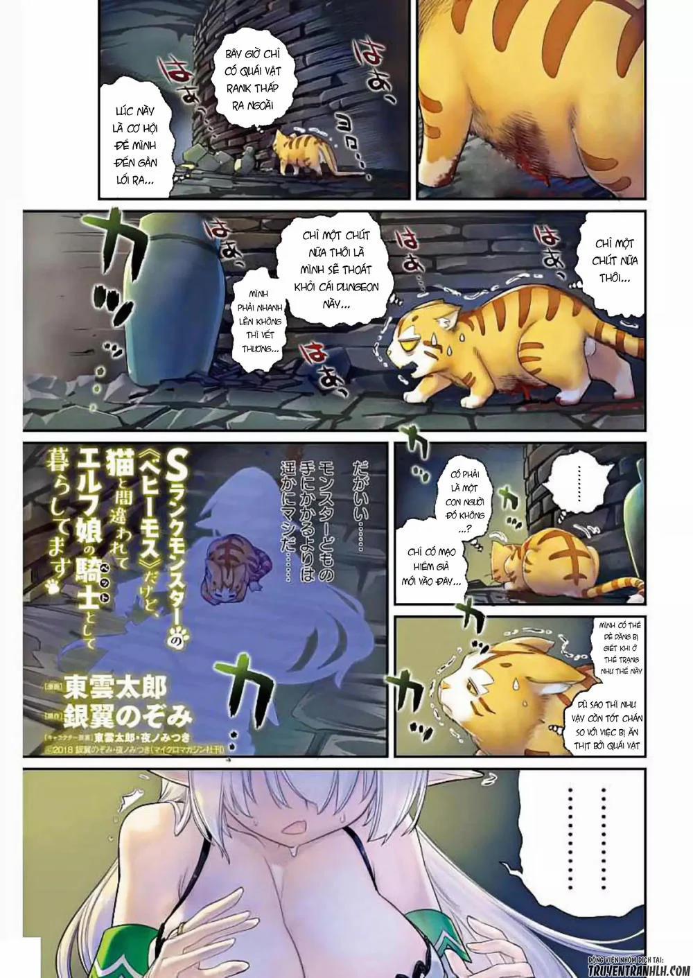 I Am Behemoth Of The S Rank Monster But I Am Mistaken As A Cat And I Live As A Pet Of Elf Girl 1 trang 3