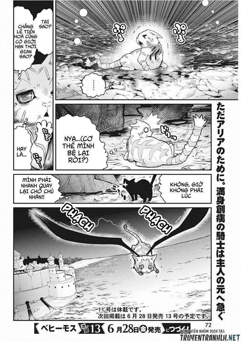 I Am Behemoth Of The S Rank Monster But I Am Mistaken As A Cat And I Live As A Pet Of Elf Girl 15 trang 19