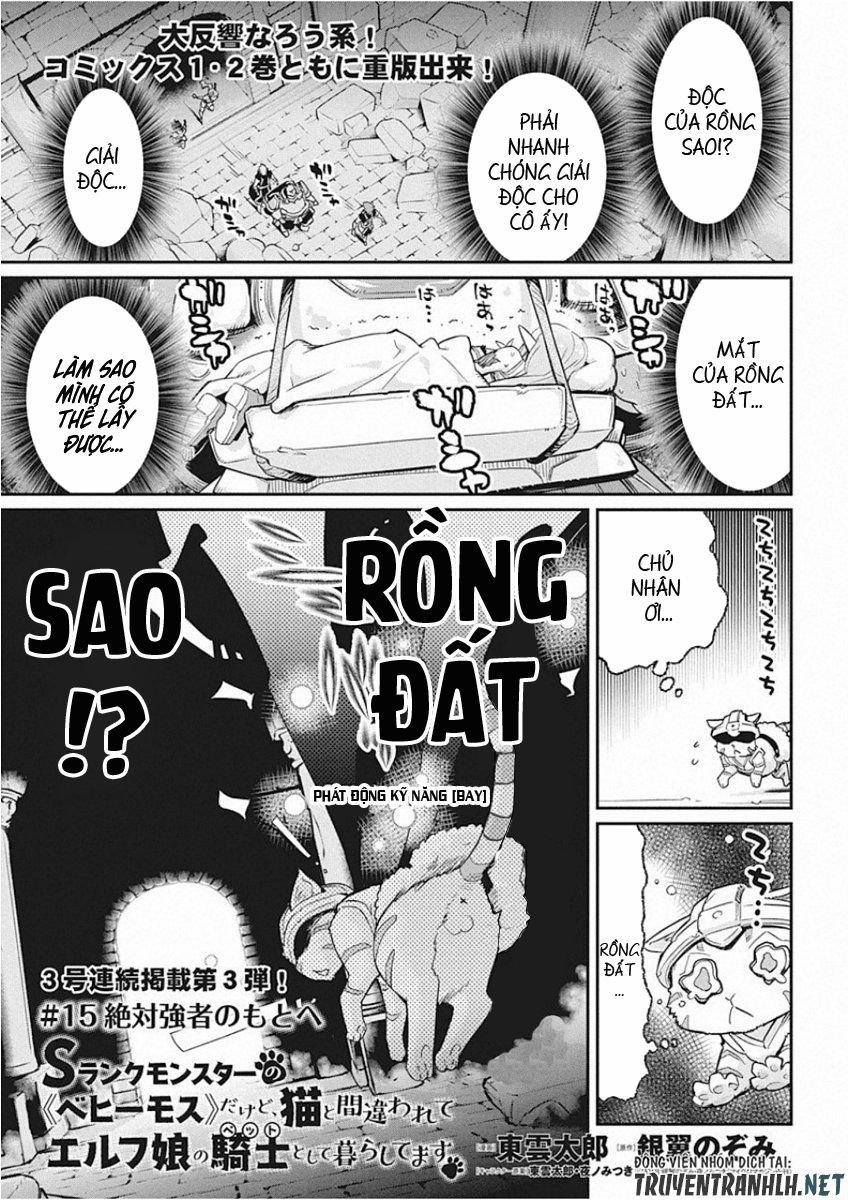 I Am Behemoth Of The S Rank Monster But I Am Mistaken As A Cat And I Live As A Pet Of Elf Girl 15 trang 2