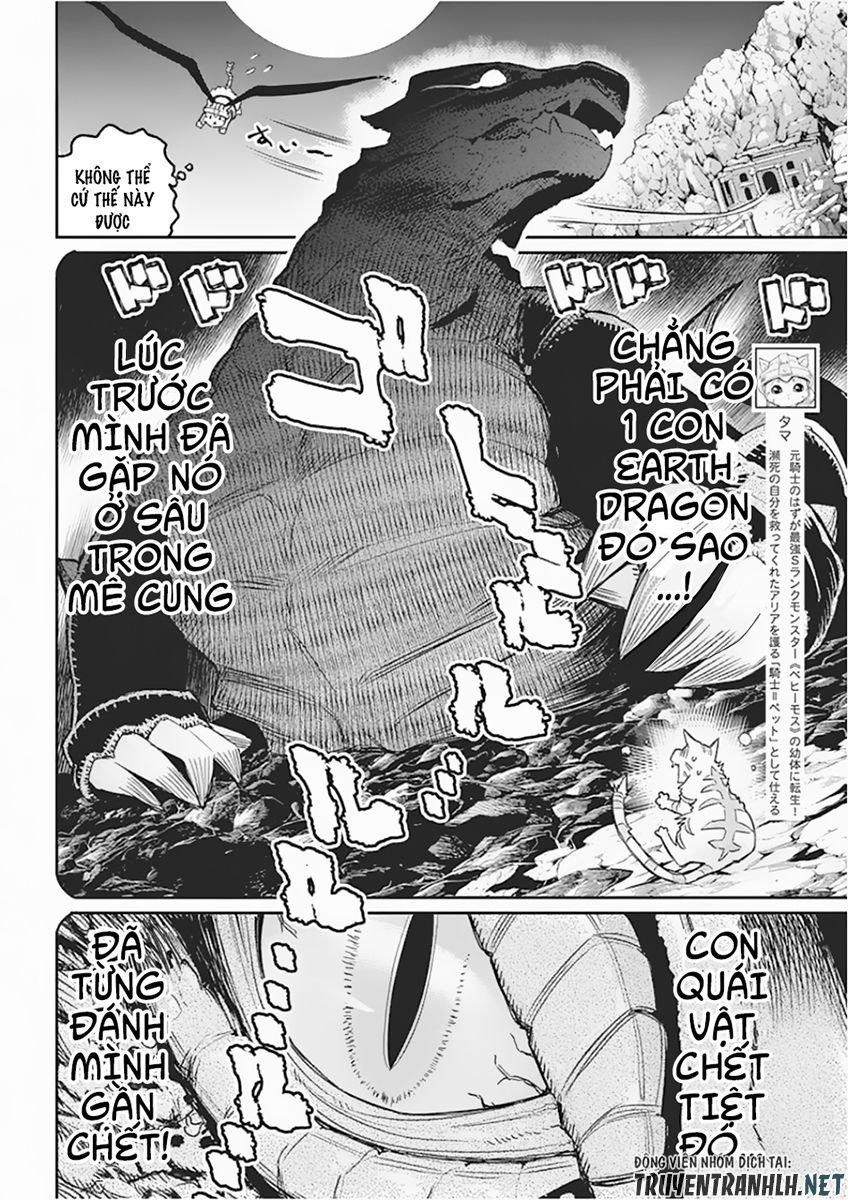 I Am Behemoth Of The S Rank Monster But I Am Mistaken As A Cat And I Live As A Pet Of Elf Girl 15 trang 3