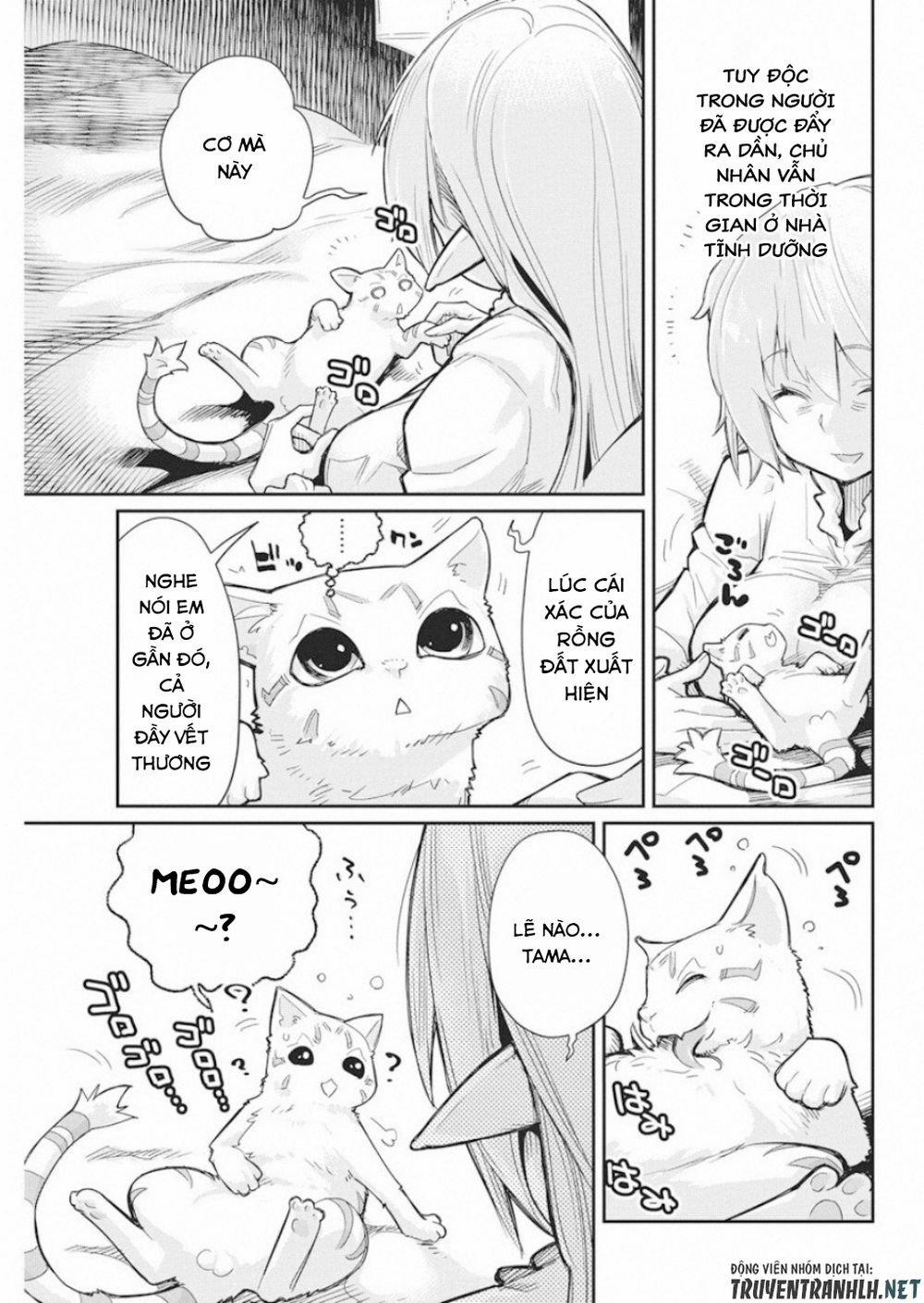 I Am Behemoth Of The S Rank Monster But I Am Mistaken As A Cat And I Live As A Pet Of Elf Girl 16 trang 10