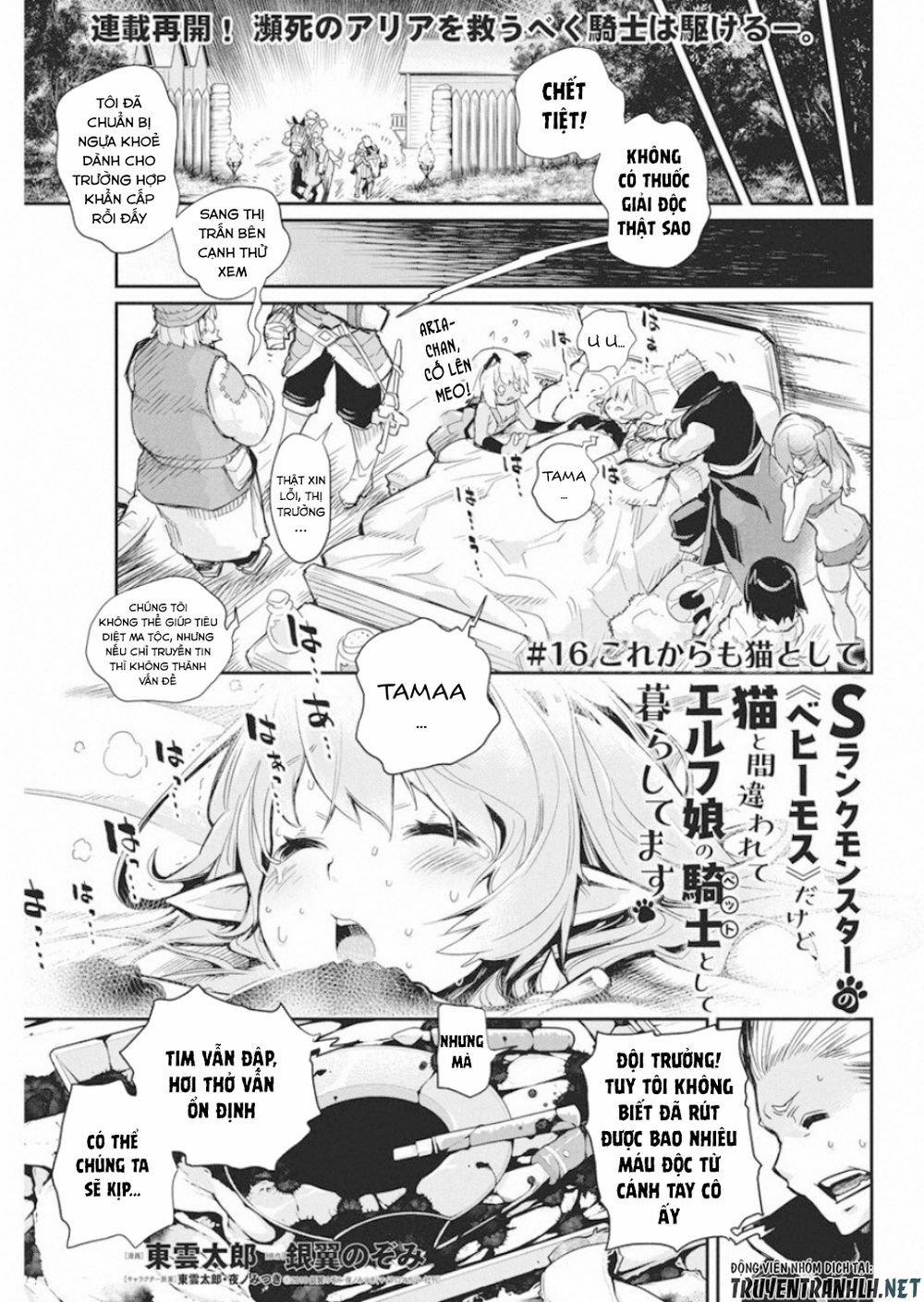 I Am Behemoth Of The S Rank Monster But I Am Mistaken As A Cat And I Live As A Pet Of Elf Girl 16 trang 2