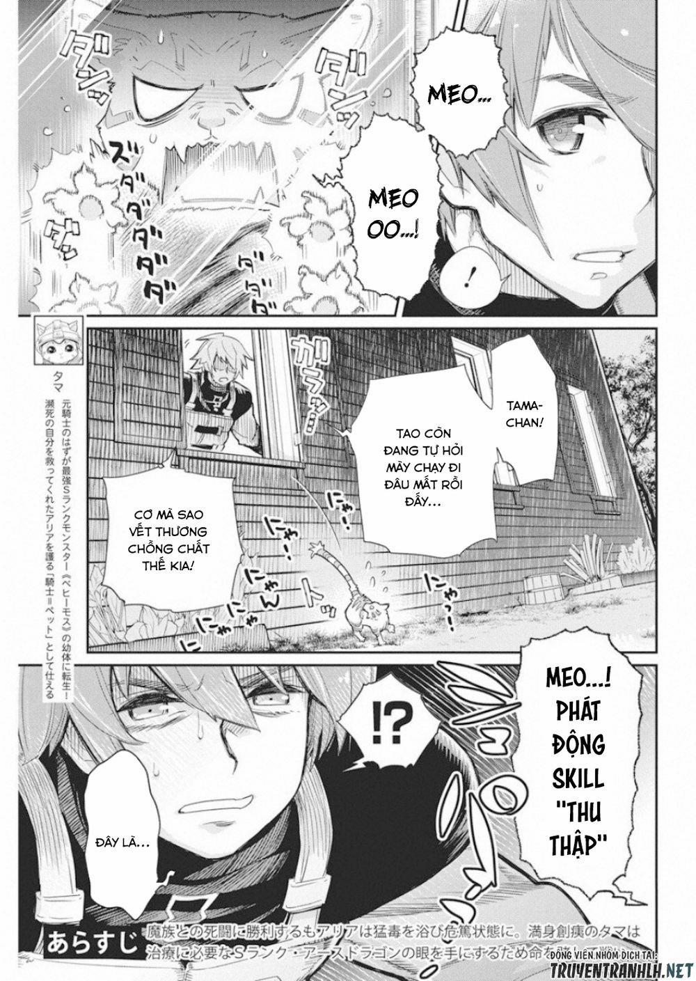 I Am Behemoth Of The S Rank Monster But I Am Mistaken As A Cat And I Live As A Pet Of Elf Girl 16 trang 4