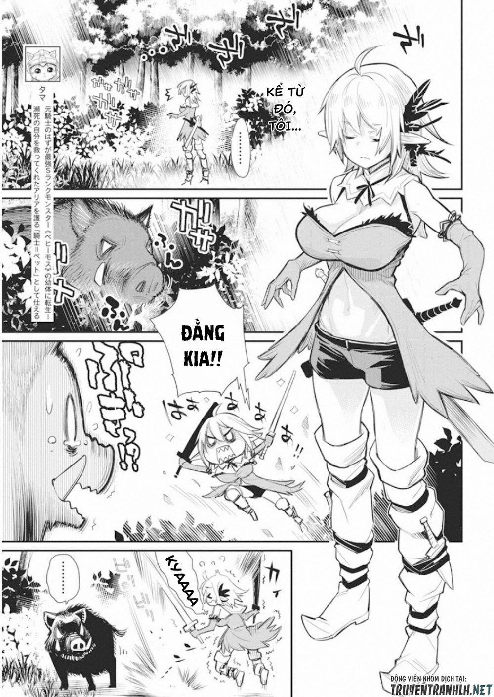 I Am Behemoth Of The S Rank Monster But I Am Mistaken As A Cat And I Live As A Pet Of Elf Girl 17 trang 6