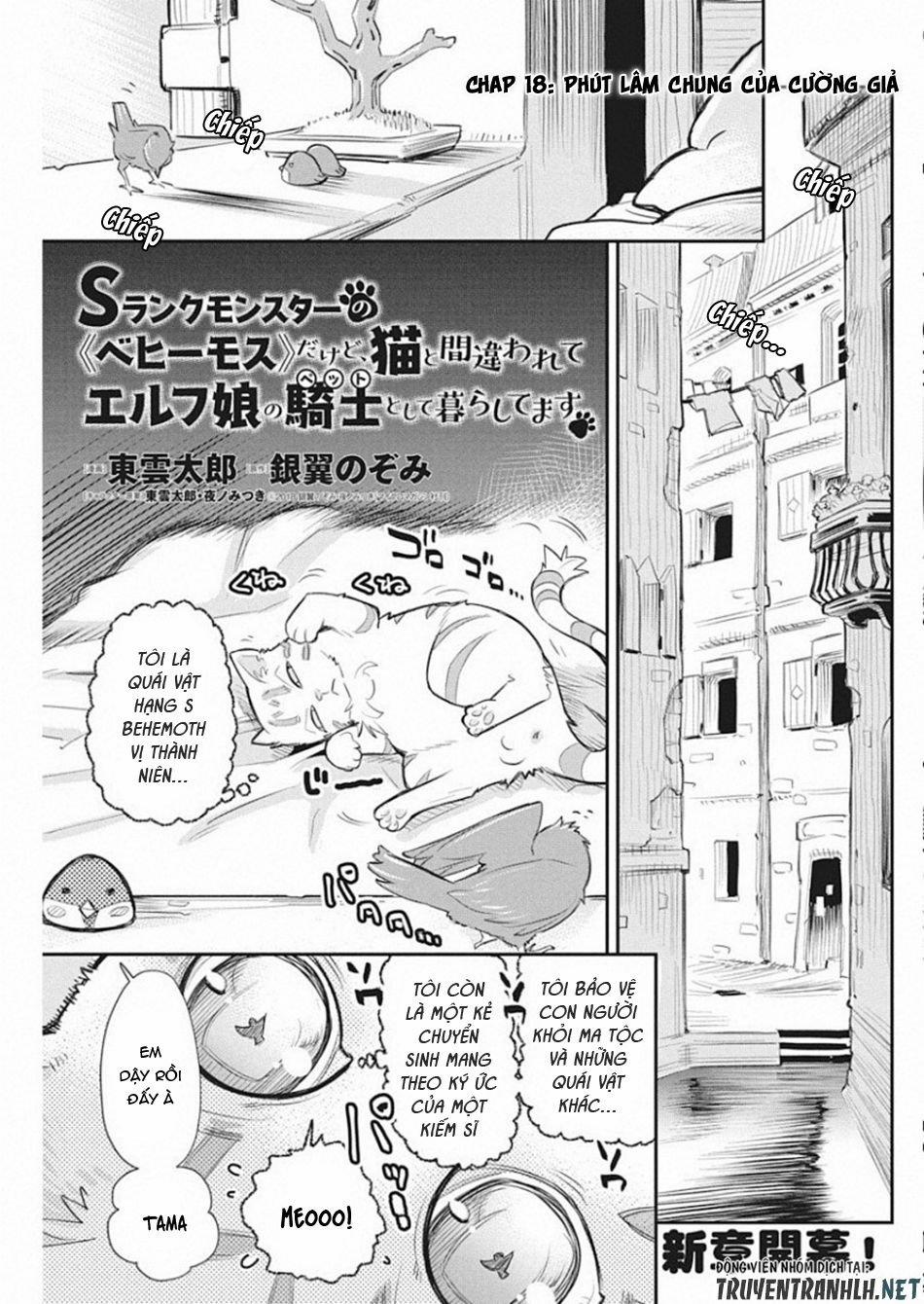 I Am Behemoth Of The S Rank Monster But I Am Mistaken As A Cat And I Live As A Pet Of Elf Girl 18 trang 2