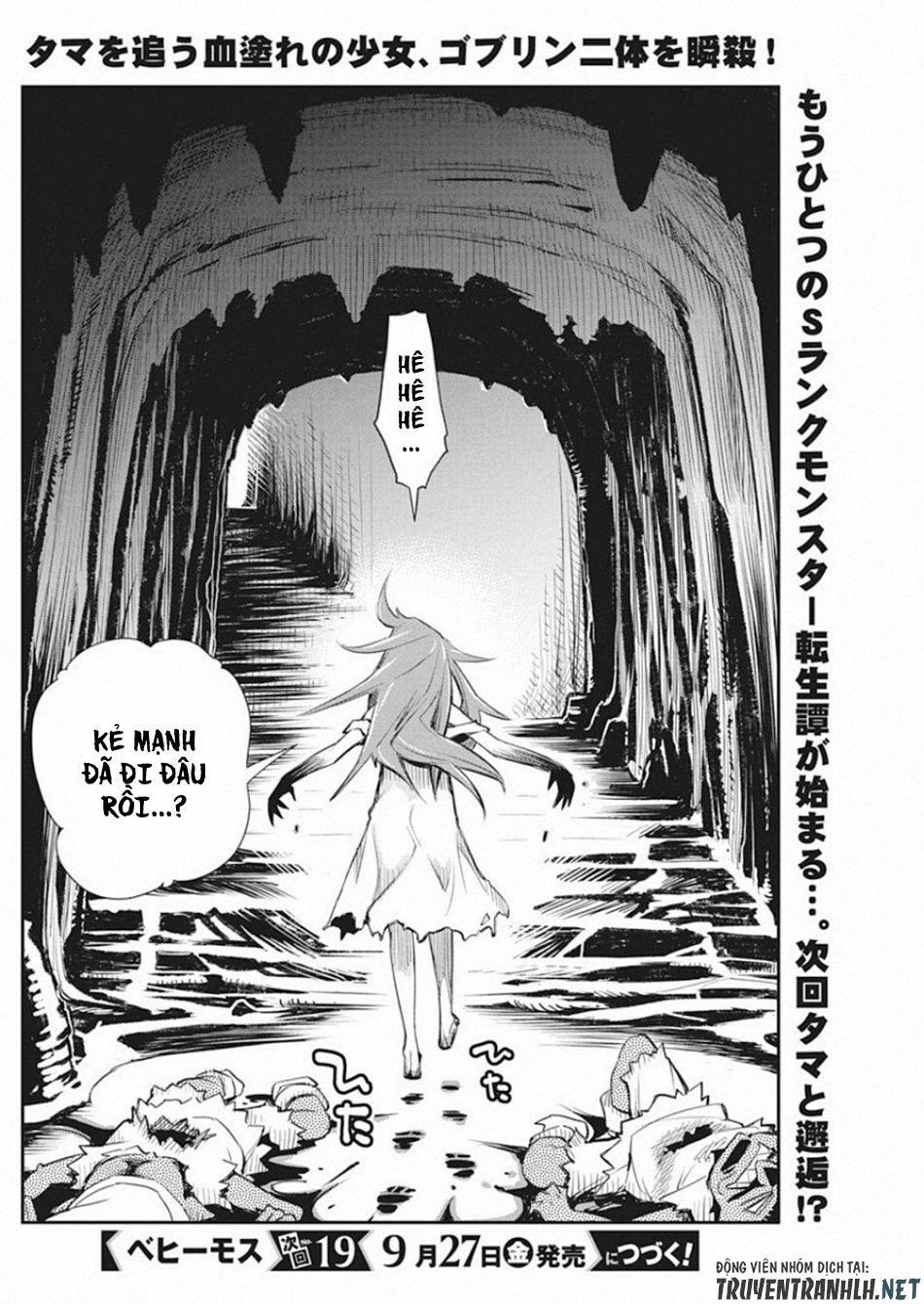 I Am Behemoth Of The S Rank Monster But I Am Mistaken As A Cat And I Live As A Pet Of Elf Girl 18 trang 24