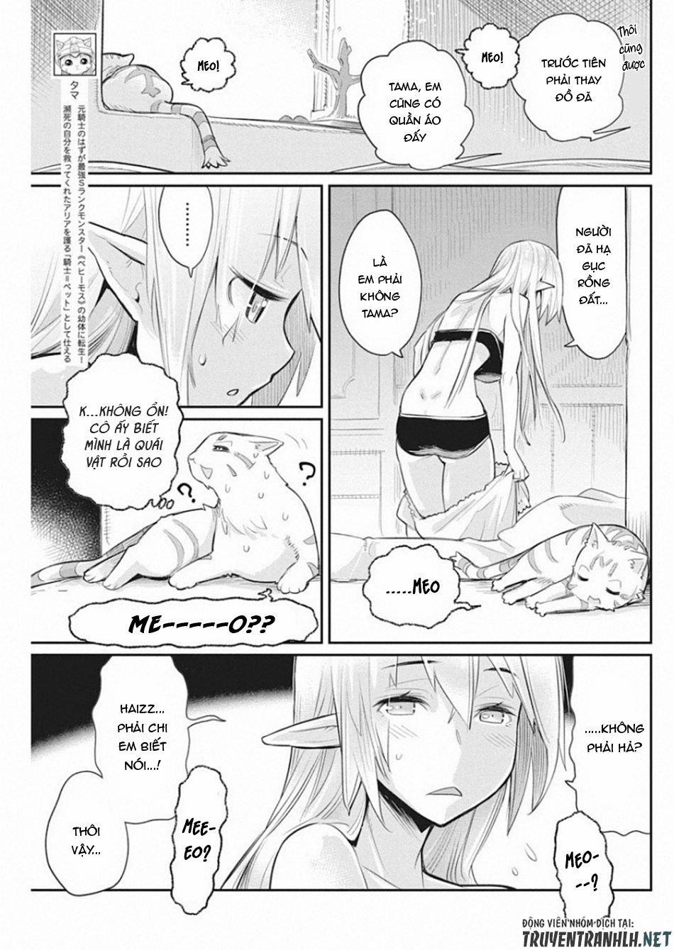 I Am Behemoth Of The S Rank Monster But I Am Mistaken As A Cat And I Live As A Pet Of Elf Girl 18 trang 4
