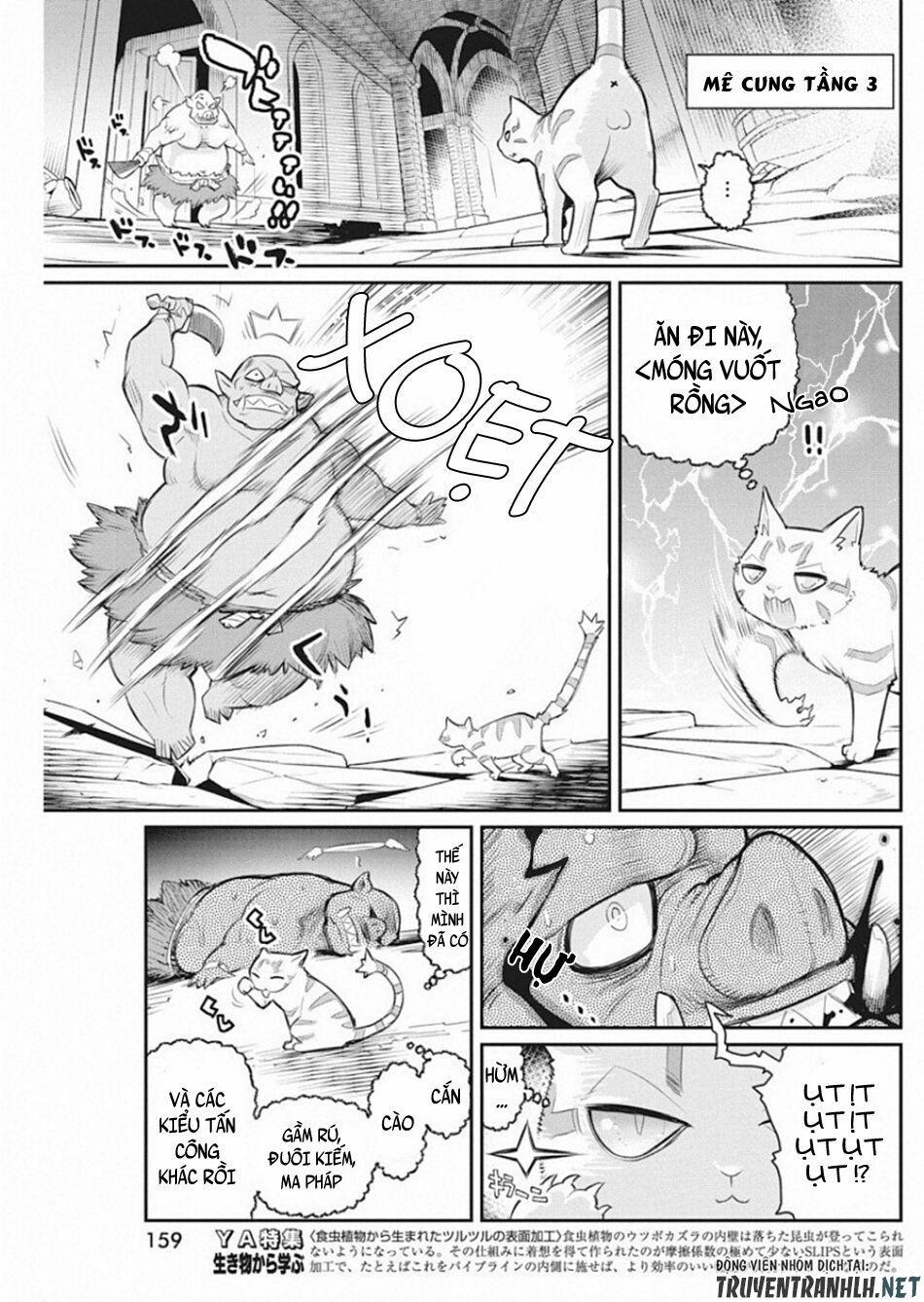 I Am Behemoth Of The S Rank Monster But I Am Mistaken As A Cat And I Live As A Pet Of Elf Girl 19 trang 12