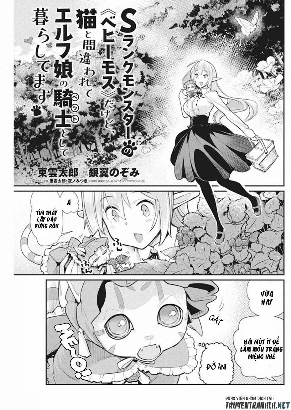 I Am Behemoth Of The S Rank Monster But I Am Mistaken As A Cat And I Live As A Pet Of Elf Girl 19 trang 2