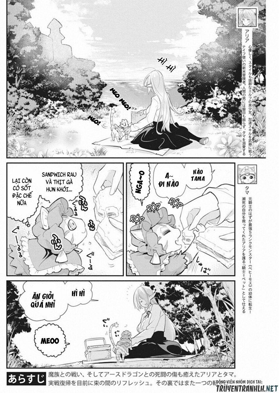 I Am Behemoth Of The S Rank Monster But I Am Mistaken As A Cat And I Live As A Pet Of Elf Girl 19 trang 3